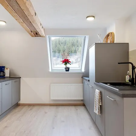 Haus An Der Breg Apartment