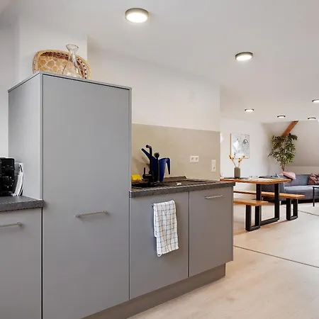 Haus An Der Breg Apartment Vöhrenbach