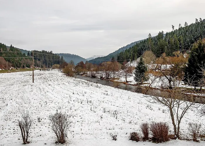 Lejlighed Haus An Der Breg Herzogenweiler